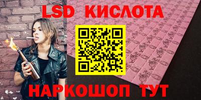 Альфа ПВП Гатчина