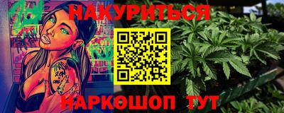 Альфа ПВП Гатчина