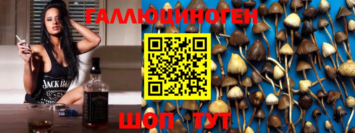 Галлюциногенные грибы мицелий  Псилоцибиновые грибы прущие грибы  Белебей  Вход с VPN 